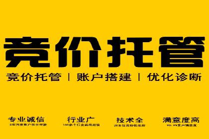 竞价排名实战技巧解析